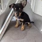 Matius